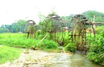 Northern Vietnam Unveiled: 8-Day Nature & Culture Expedition